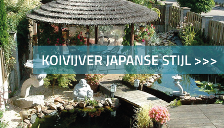 Koivijver in Japanse stijl