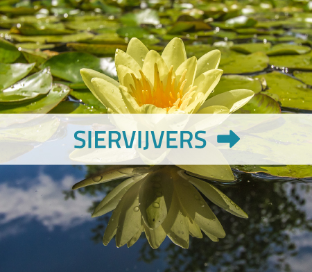 Tuinvijver laten aanleggen