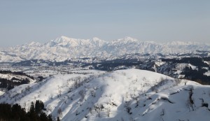 Vijvercentrum-de-scheper-japanreis-2012-Omgeving1-300×173