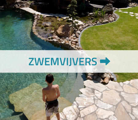 Zwemvijver aanleggen