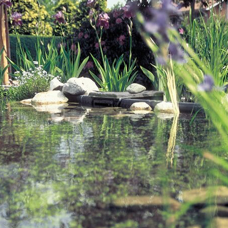 Wand_skimmers_categorie_vijverwinkel