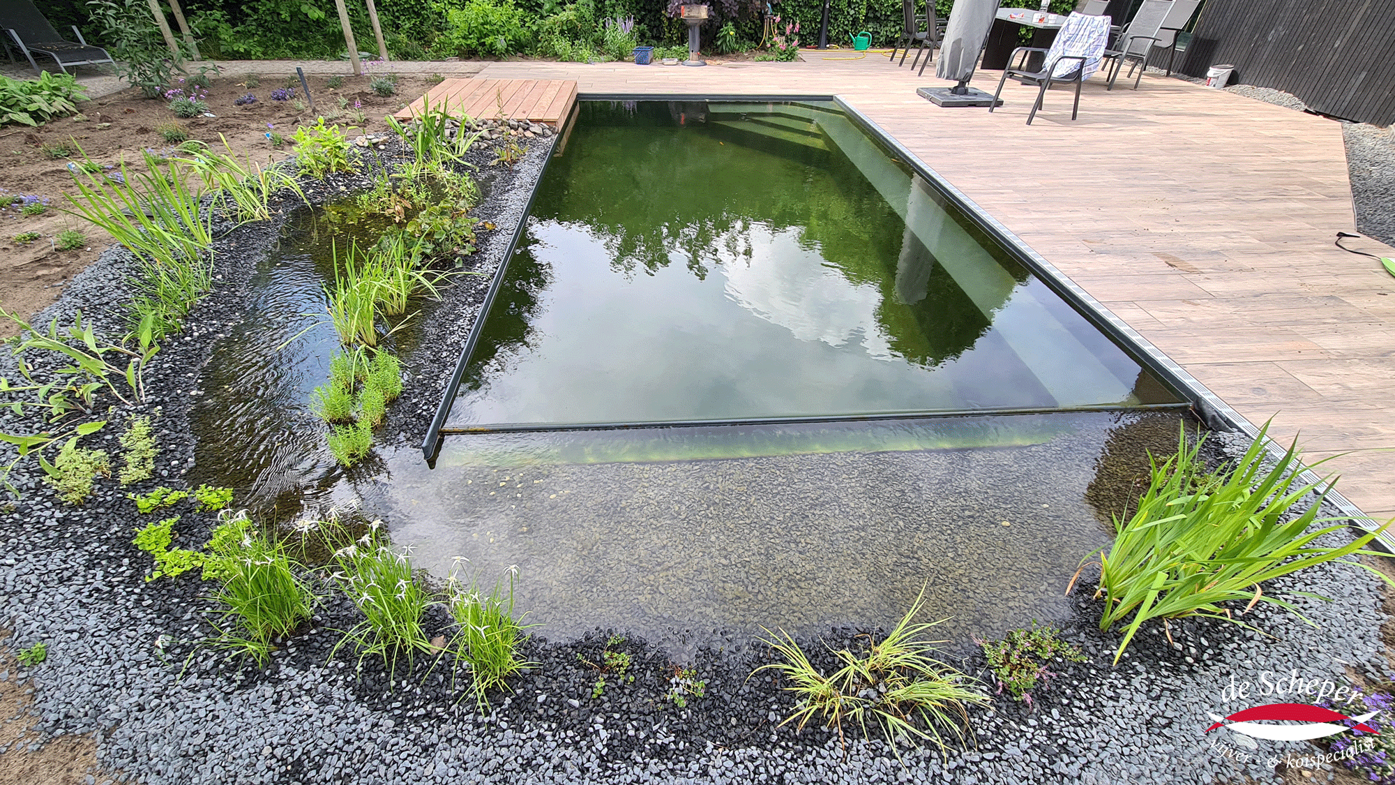 Zwemvijver-project-24