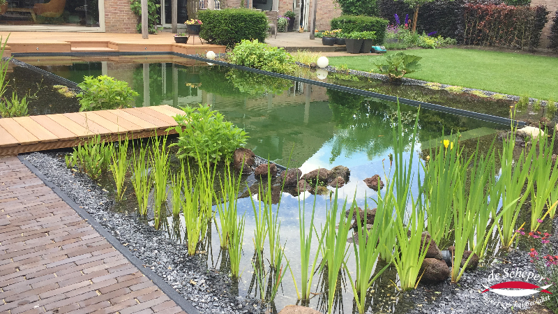 Zwemvijver_project_16_vijvercentrum_de_scheper (6)
