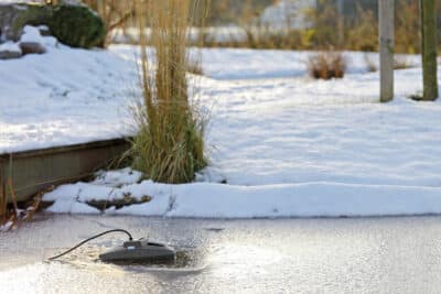 Blog-Vijver-na-de-winter-400×267