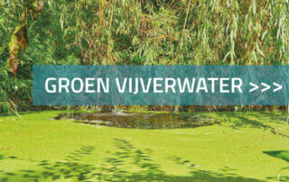 Groen vijver water