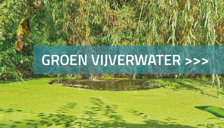 Groen vijverwater - Wat kun je er aan doen?