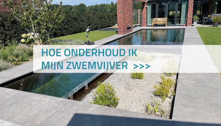 Zwemvijver onderhoud