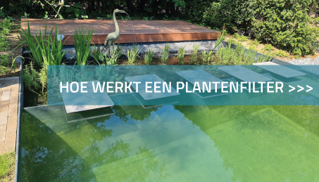 Hoe werkt een plantenfilter?