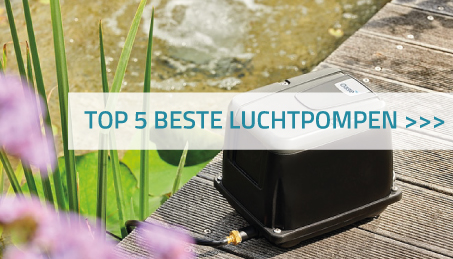 Top 5 beste luchtpompen