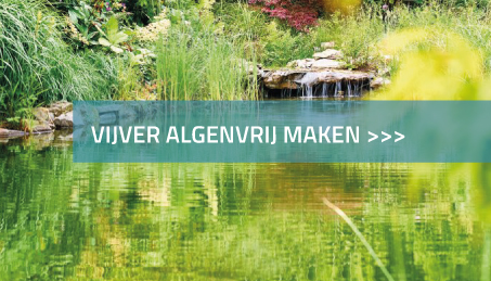 Vijver algenvrij maken