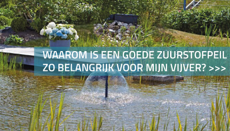 Waarom is een goede zuurstofpeil zo belangrijk voor mijn vijver?