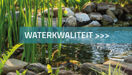 Vijver waterkwaliteit