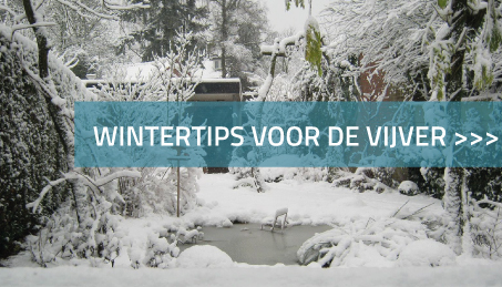 Wintertips voor de vijver