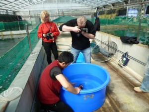 Japan_reis_2015_vijvercentrum_de_scheper_14