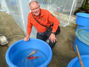 Japan_reis_2015_vijvercentrum_de_scheper_15