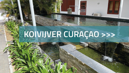 Koivijver Curaçao