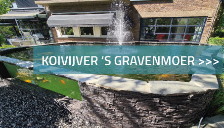 Koivijver 's Gravenmoer