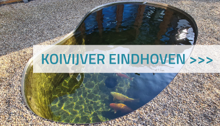 Koivijver Eindhoven