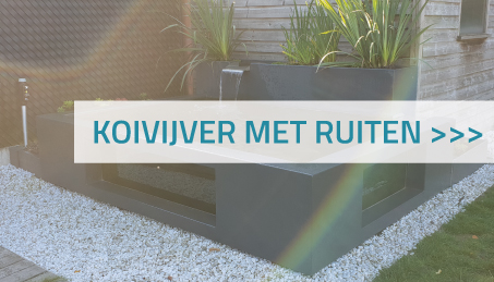 Koivijver met ruiten