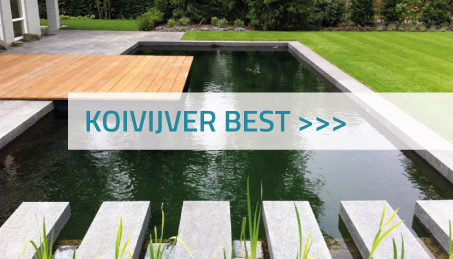 Koivijver Best