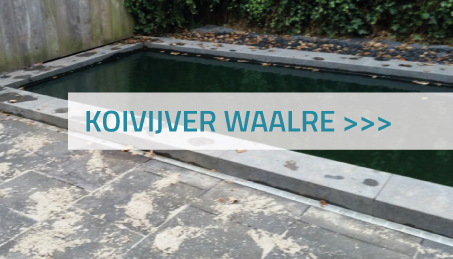 Koivijver Waalre