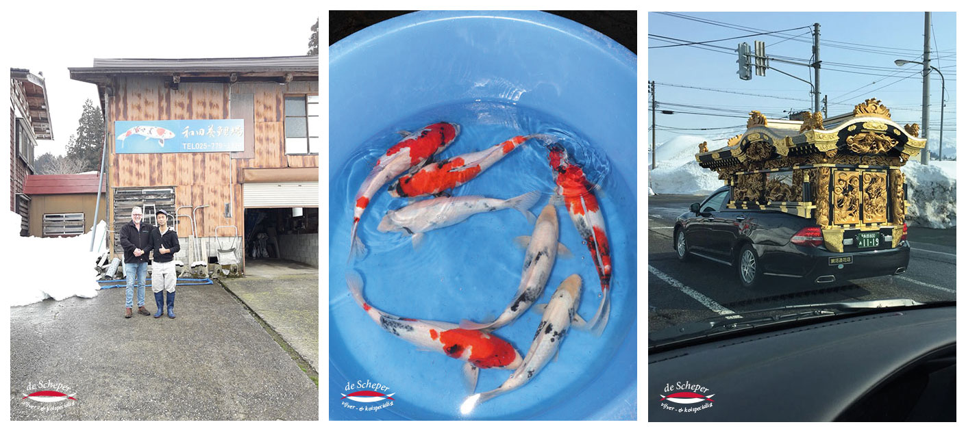 Kweker_Wana_san_vijvercentrum_de_scheper