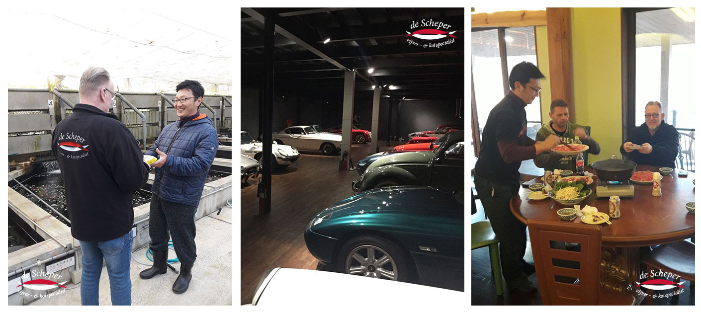 Mometaro_Japan_Reis_Vijvercentrum_de_Scheper_9