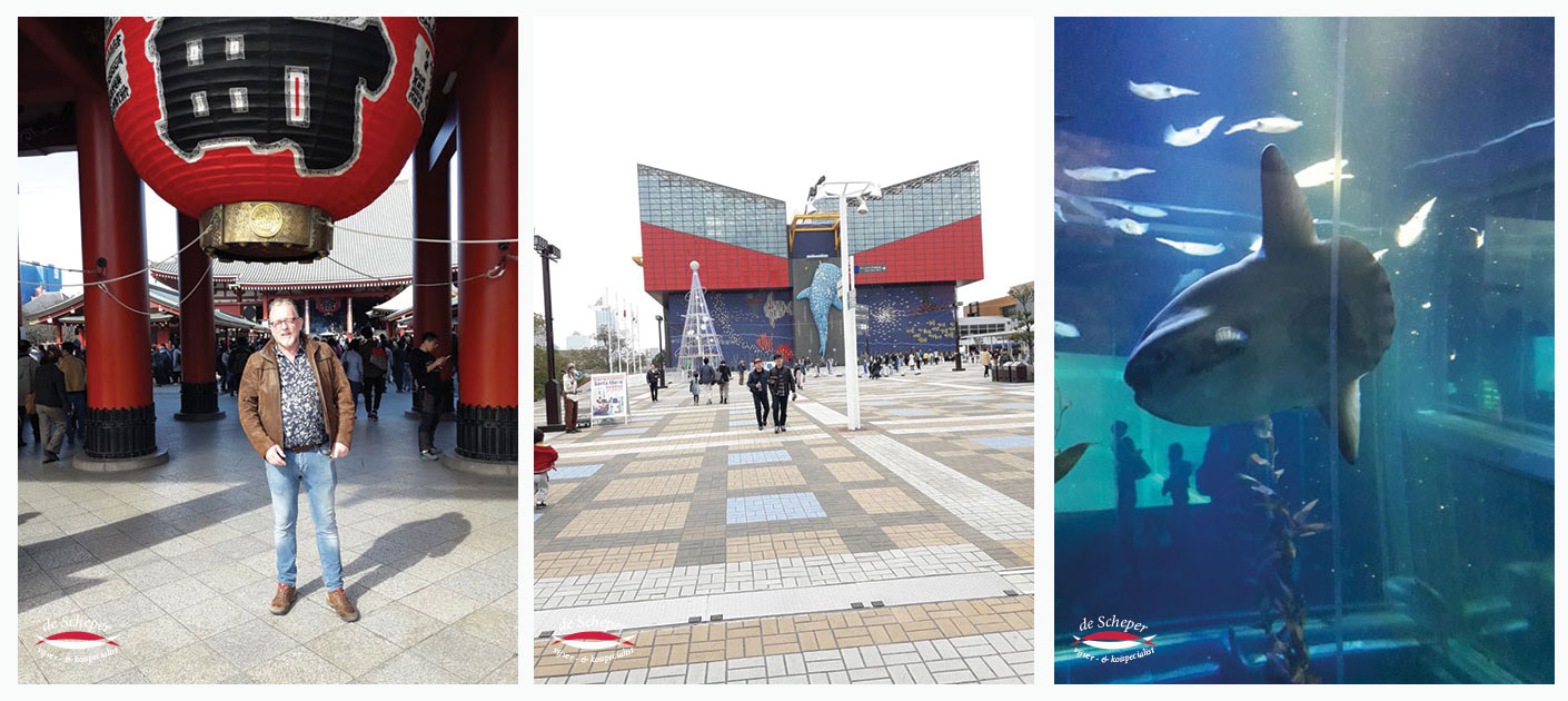 Osaka_Vijvercentrum_de_Scheper