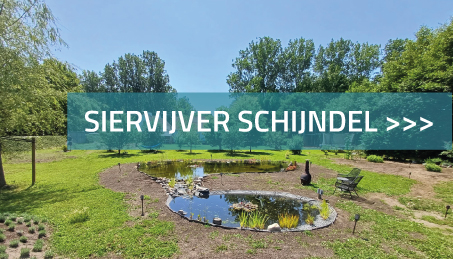 Siervijver Schijndel