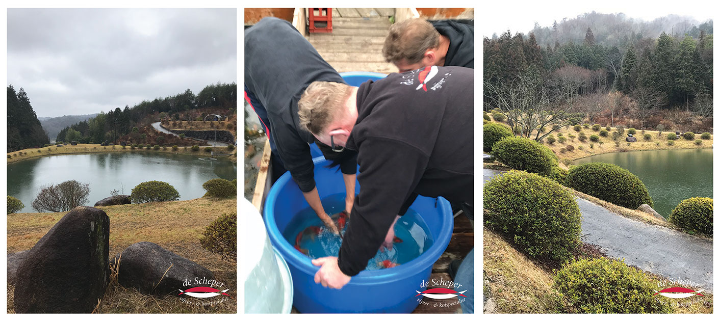 Takigawa_Vijvercentrum_De_Scheper-1