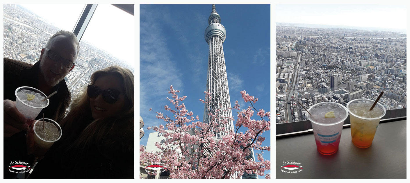 Toyko_Skytree_Japan_Reis_Vijvercentrum_De_Scheper