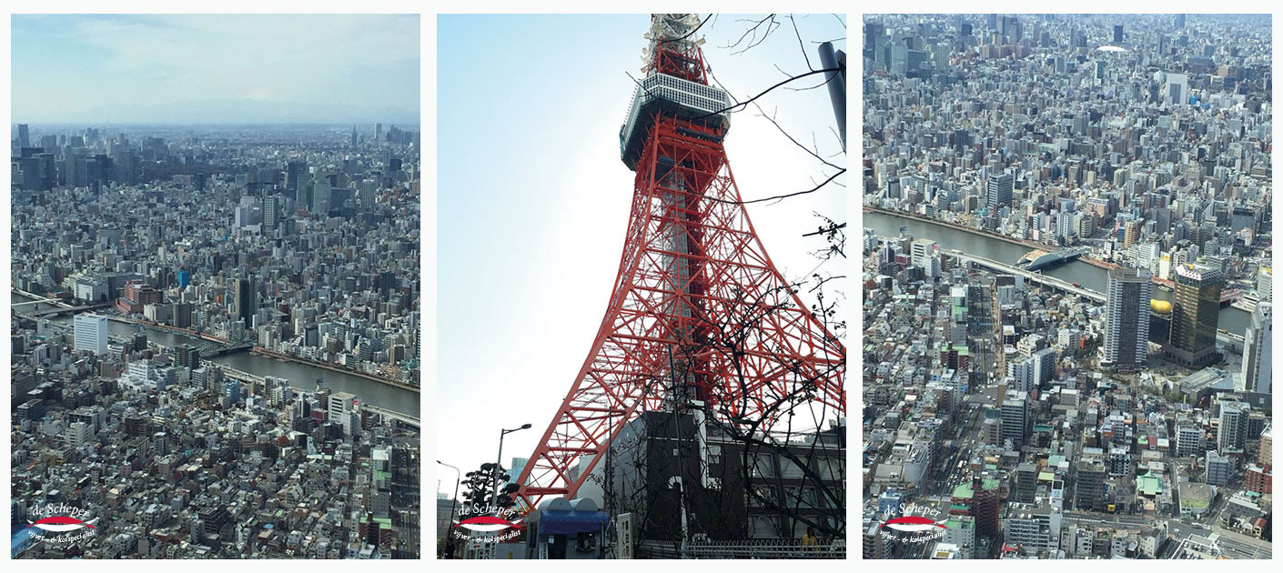 Toyko_Tower_Vijvercentrum_de_Scheper