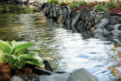 Waterkwaliteit vijverwinkel watertesten vijveronderhoud Watertesten bij Vijvercentrum de Scheper