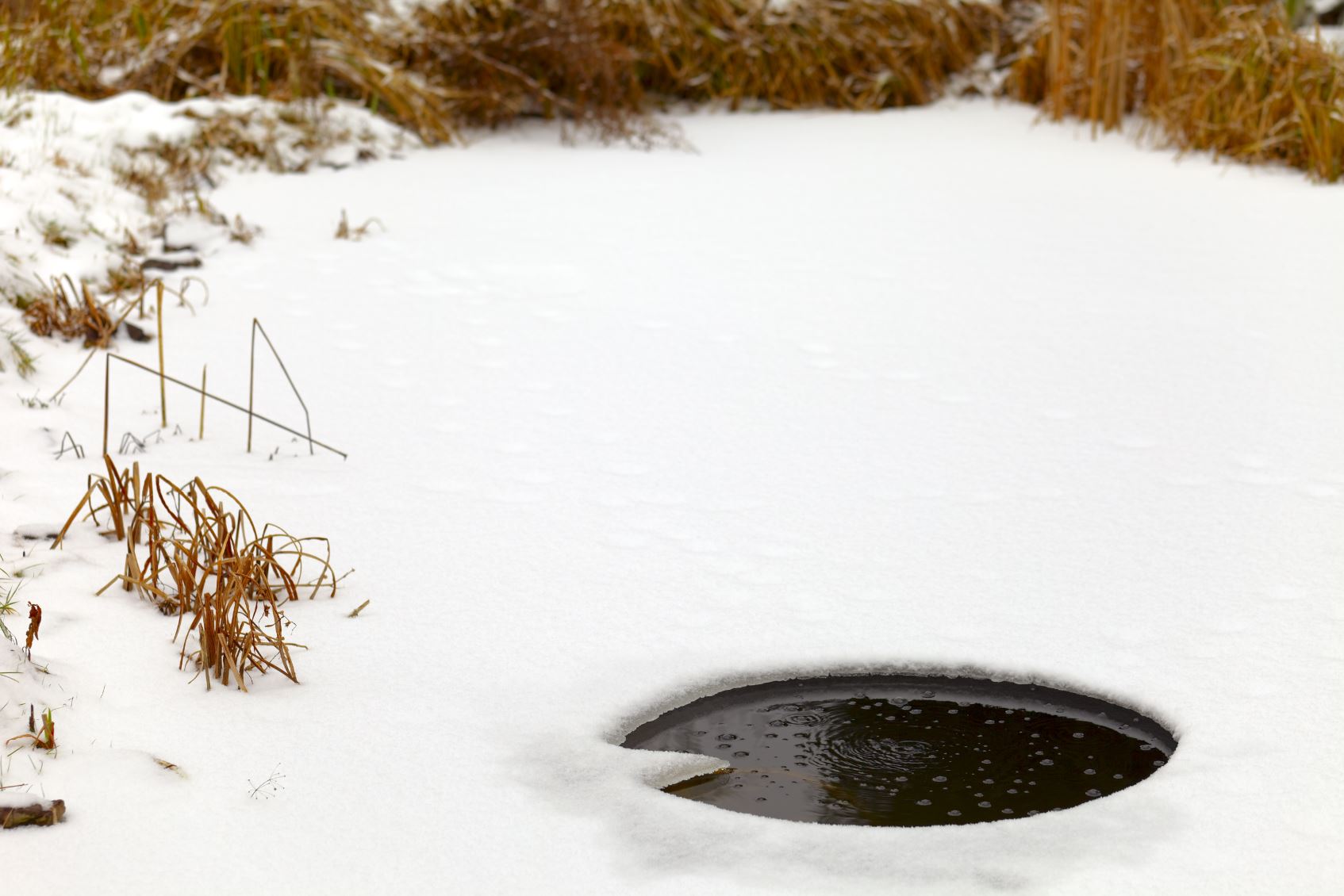 Winter-vijver-ijsvrij-houden-ijsvrijhouders-vijververwarming (1)