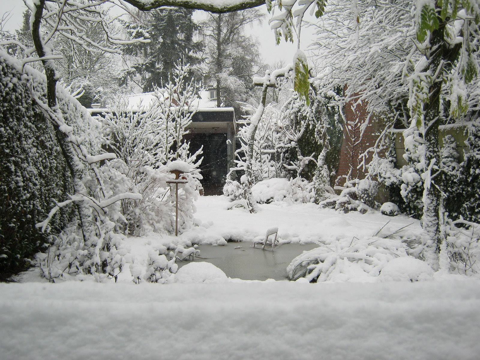 Wintertips_voor_de_vijver_vijvercentrum_de_scheper