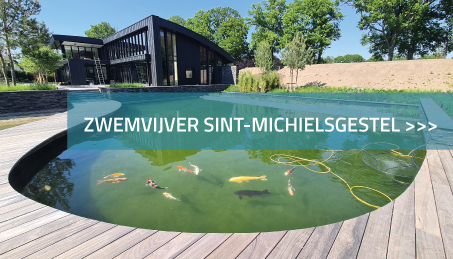 Zwemvijver Sint-Michielsgestel