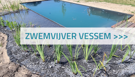 Zwemvijver Vessem