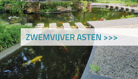 Zwemvijver Asten