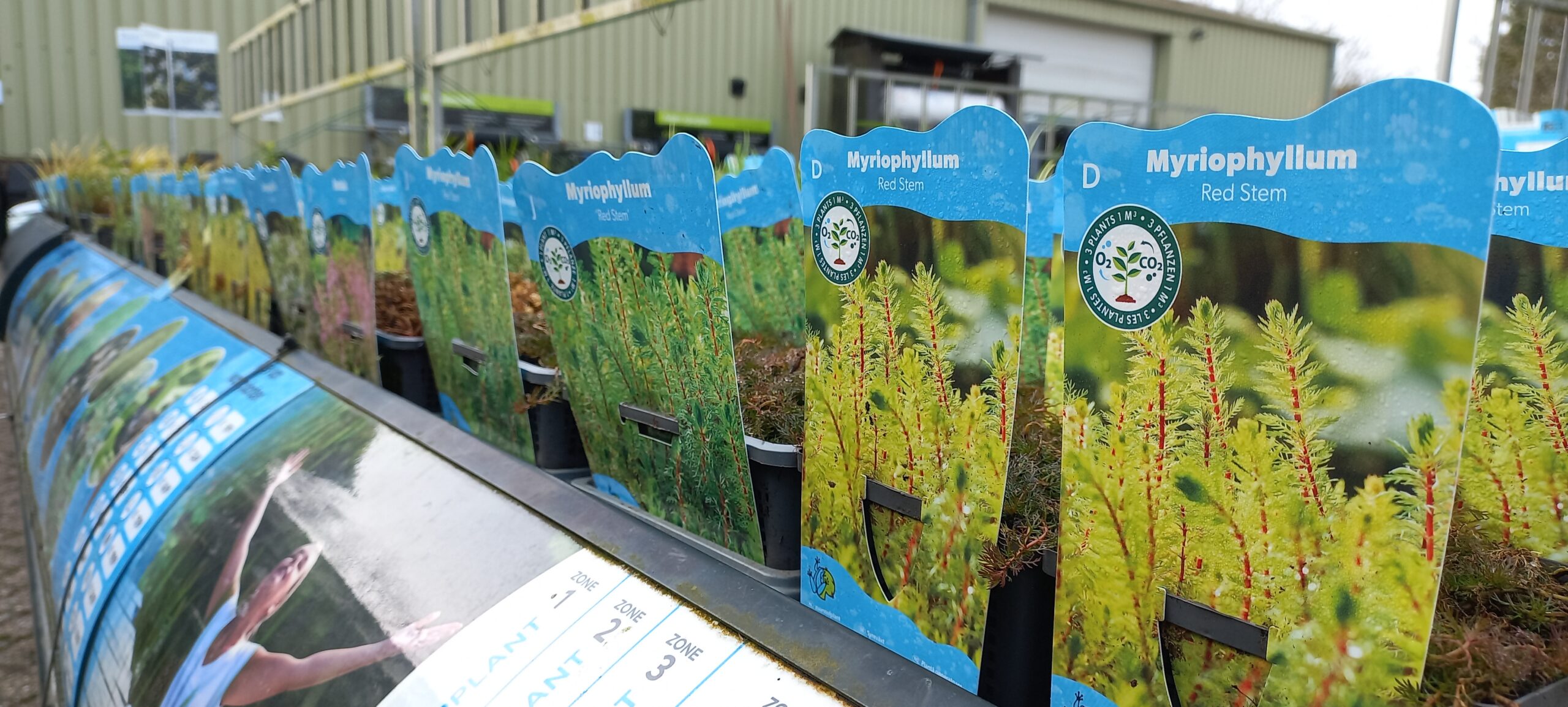 Zuurstofplanten in Oirschot