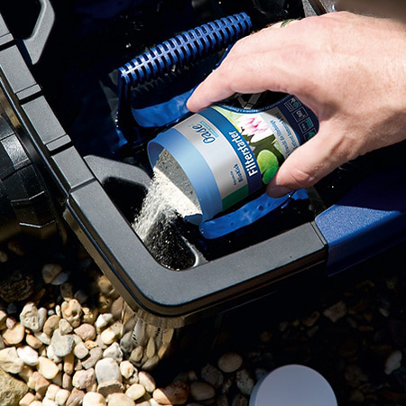 Bacteriën Bacteriën vijver