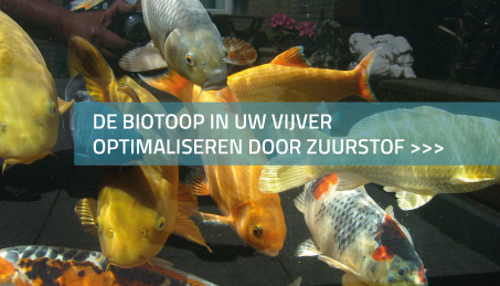 De biotoop in uw vijver optimaliseren door zuurstof