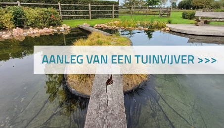 Tuinvijver aanleg