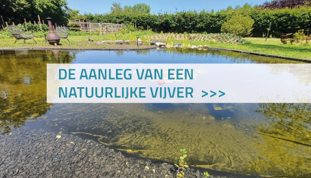 De aanleg van een natuurlijke vijver