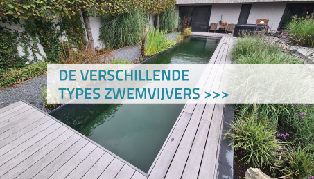 De verschillende types zwemvijvers