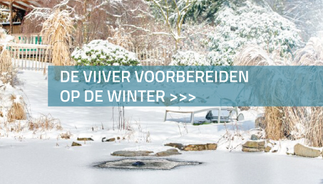 De vijver voorbereiden op de winter