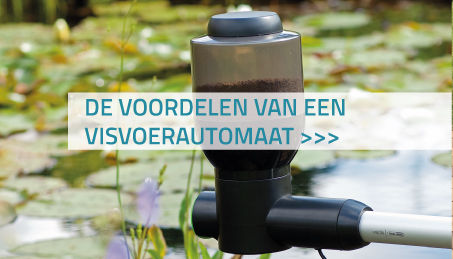 De voordelen van een visvoerautomaat