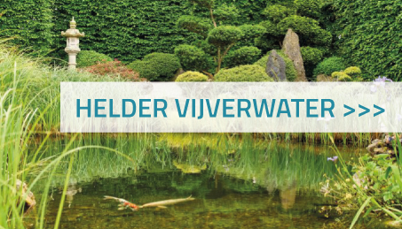 Vijverwater helder