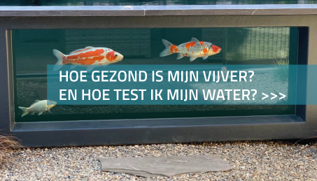 Hoe gezond is mijn vijver? En hoe test ik mijn water?