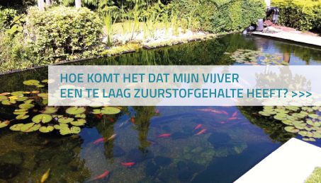 Te laag zuurstofgehalte in vijver