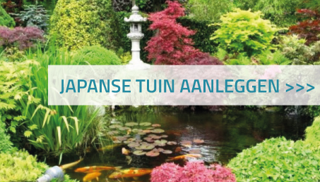 Japanse tuin aanleggen